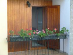 Photo n°2
