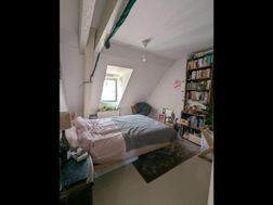 Photo n°6