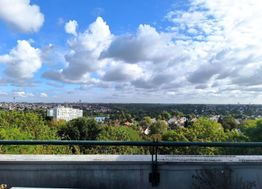 Photo n°5