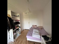 Photo n°4