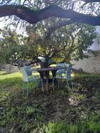 Photo n°3
