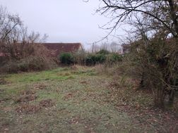Photo n°6