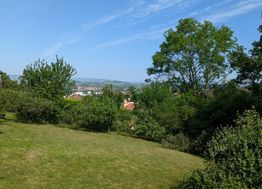 Photo n°6