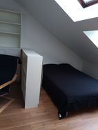 Photo n°6