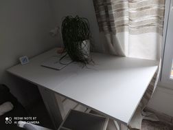 Photo n°5