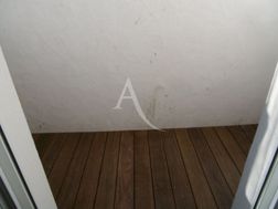 Photo n°5