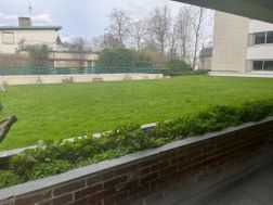 Photo n°6