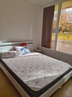 Photo n°5