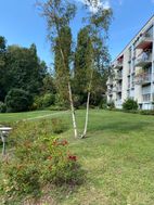 Photo n°1