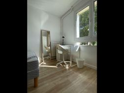 Photo n°5