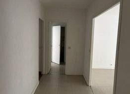 Photo n°4