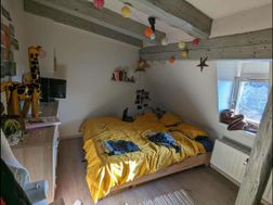 Photo n°4