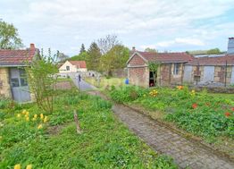 Photo n°6