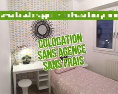 Photo n°1