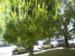 Photo n°2