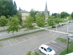 Photo n°5
