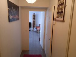 Photo n°3