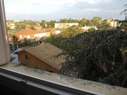 Photo n°6