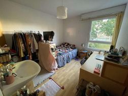 Photo n°3