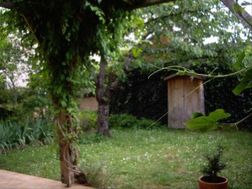 Photo n°2