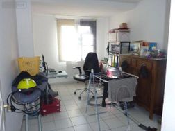 Photo n°6
