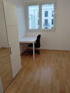 Photo n°1