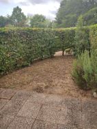 Photo n°1