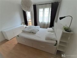 Photo n°6