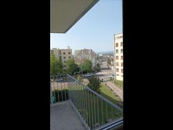 Photo n°5