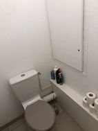 Photo n°6