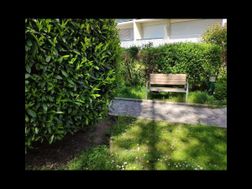 Photo n°6
