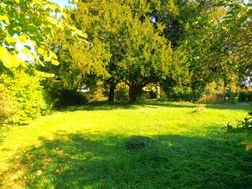 Photo n°3