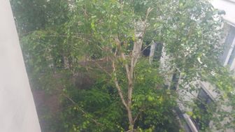 Photo n°4