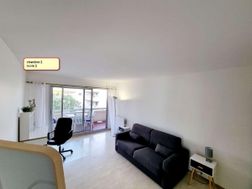 Photo n°6