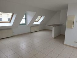 Photo n°4