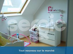 Photo n°6