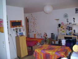 Photo n°5