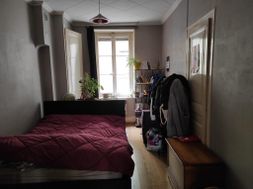Photo n°6
