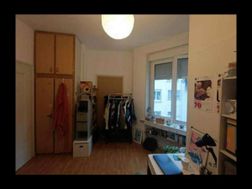 Photo n°4