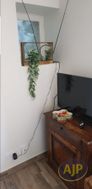 Photo n°4