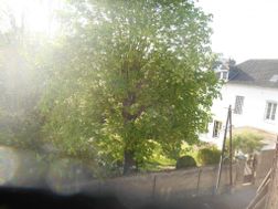Photo n°5