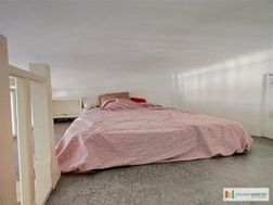 Photo n°6