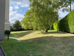 Photo n°4