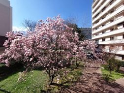 Photo n°13