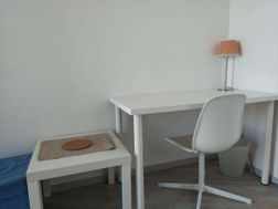 Photo n°5
