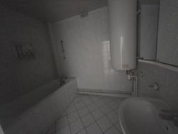 Photo n°6