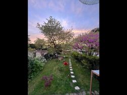 Photo n°1