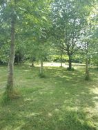 Photo n°6