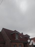 Photo n°5