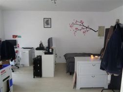 Photo n°3